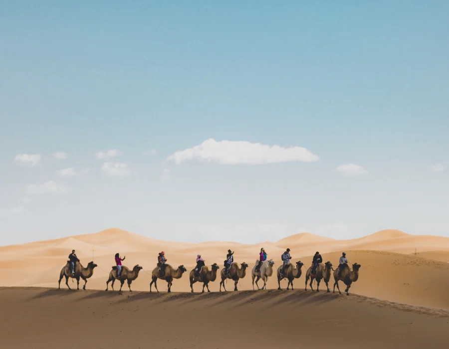 vertical-shot-people-riding-camels-sand-dune-desert